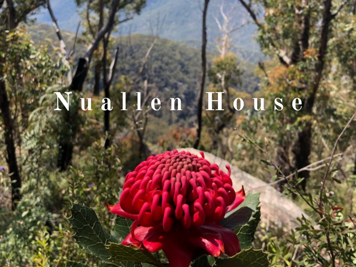 Your Gateway to Glen Innes